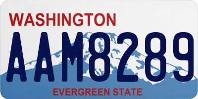 WA license plate AAM8289
