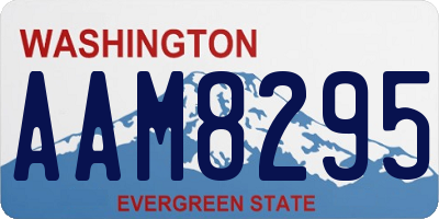WA license plate AAM8295