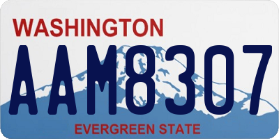 WA license plate AAM8307