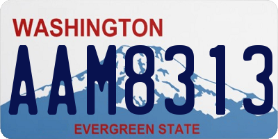 WA license plate AAM8313