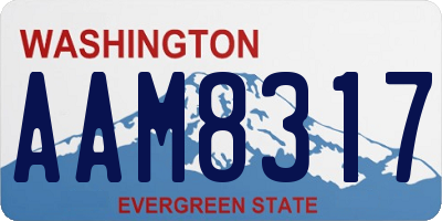 WA license plate AAM8317