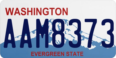WA license plate AAM8373