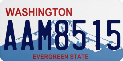 WA license plate AAM8515