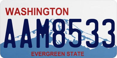 WA license plate AAM8533