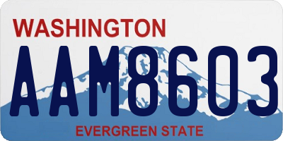 WA license plate AAM8603