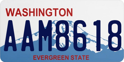 WA license plate AAM8618