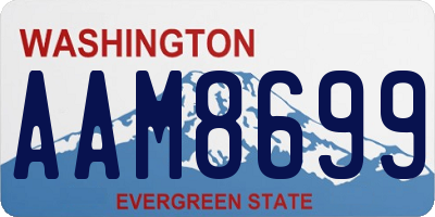 WA license plate AAM8699