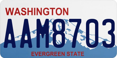 WA license plate AAM8703