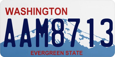 WA license plate AAM8713