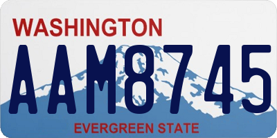 WA license plate AAM8745