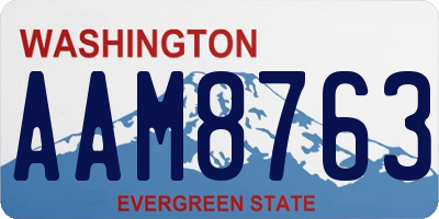 WA license plate AAM8763