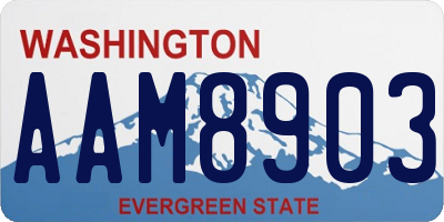 WA license plate AAM8903