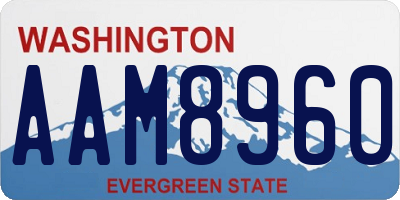 WA license plate AAM8960