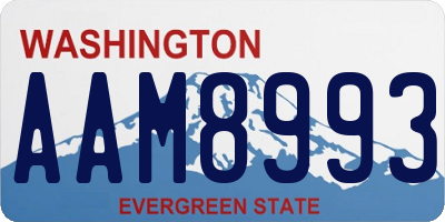 WA license plate AAM8993