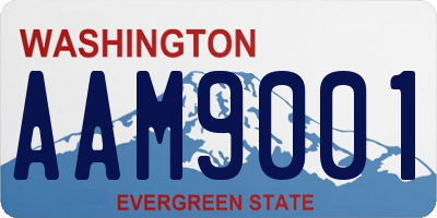 WA license plate AAM9001