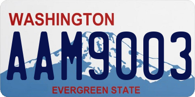 WA license plate AAM9003