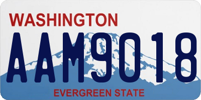 WA license plate AAM9018