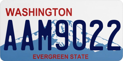 WA license plate AAM9022