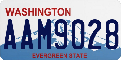 WA license plate AAM9028