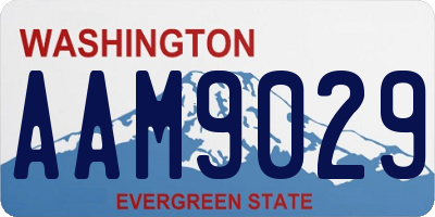 WA license plate AAM9029