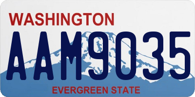 WA license plate AAM9035