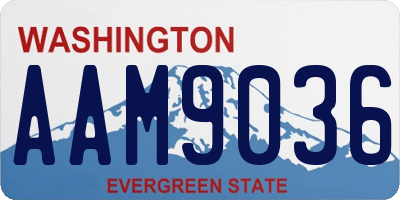 WA license plate AAM9036
