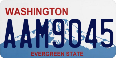 WA license plate AAM9045