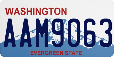 WA license plate AAM9063