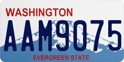 WA license plate AAM9075