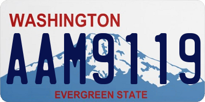 WA license plate AAM9119