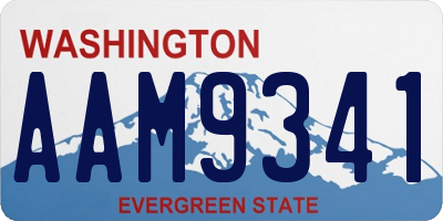 WA license plate AAM9341