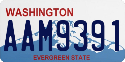WA license plate AAM9391