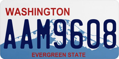 WA license plate AAM9608