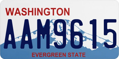WA license plate AAM9615