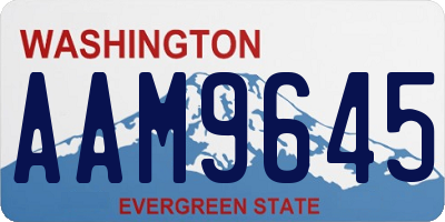 WA license plate AAM9645