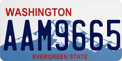 WA license plate AAM9665