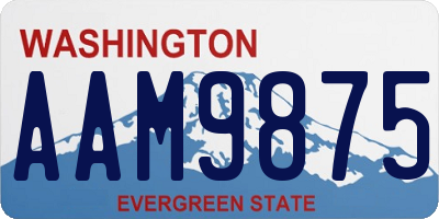 WA license plate AAM9875