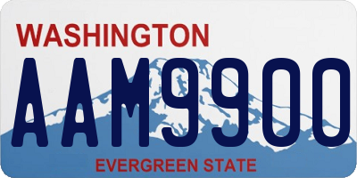 WA license plate AAM9900