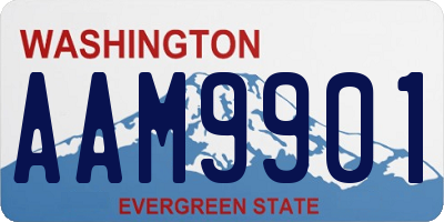 WA license plate AAM9901