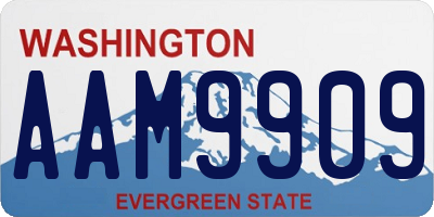 WA license plate AAM9909