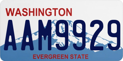 WA license plate AAM9929