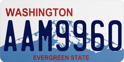 WA license plate AAM9960