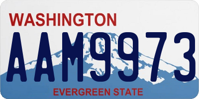 WA license plate AAM9973