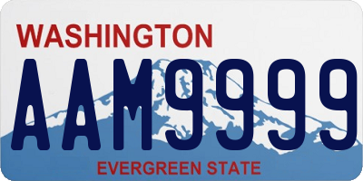 WA license plate AAM9999