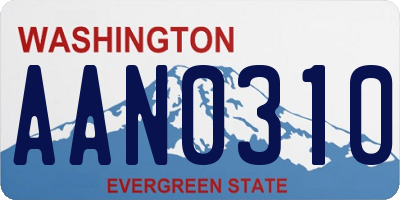 WA license plate AAN0310