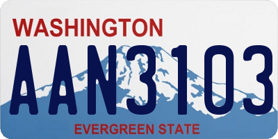 WA license plate AAN3103