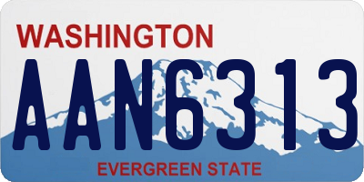 WA license plate AAN6313