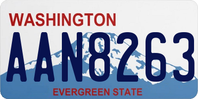 WA license plate AAN8263