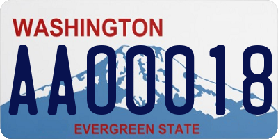 WA license plate AAO0018