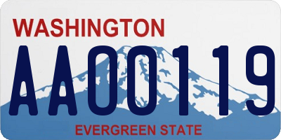 WA license plate AAO0119
